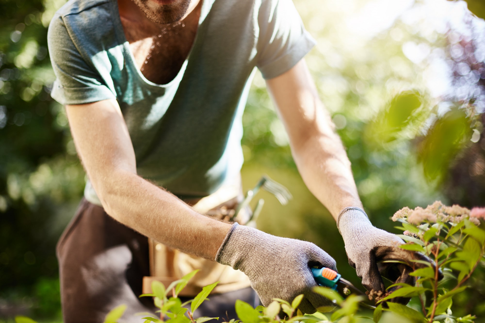 Jouw tuin van groen voorzien